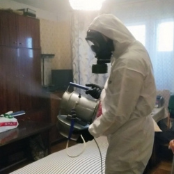 Дезинфекция от клопов в Городце